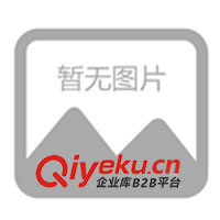 福建廈門節(jié)能環(huán)保干燥機精密過濾器DH多明尼克濾芯